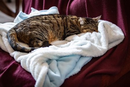 7 tips to reduce home heat lose