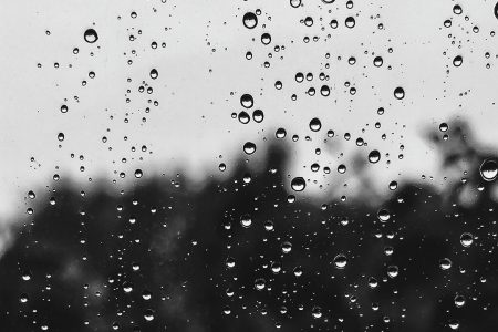 What to do if your roof is leaking